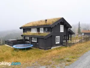 Gorgeous Home in Aurdal with House A Mountain View