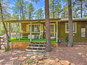Pine Cabin in the Woods w/ Yard + Grill!