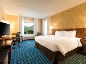 Fairfield Inn & Suites Asheville Tunnel Road