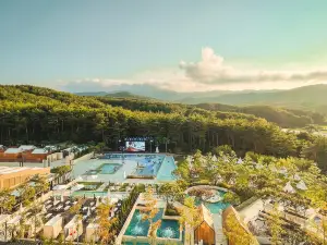The N Resort Hotel&Spa YangYang