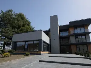 Dzuarikau Hotel