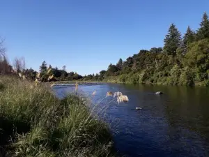 The Barn in Turangi