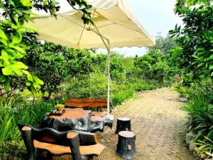 Sushi House Homestay