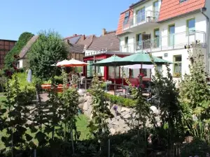 Schwalbennest am Café Wunder Bar