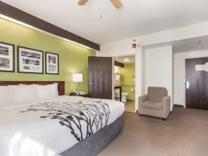 利特爾裡弗 - 北默特爾比奇舒眠飯店