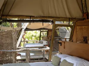 Shawa Luangwa Camp