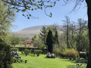Calf's Head Hotel