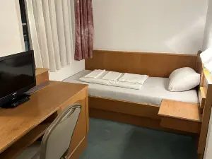 Hotel Sachsenhof Riesa