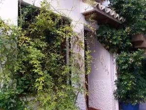 Spacious Comfortable House in Quesada with Balcony