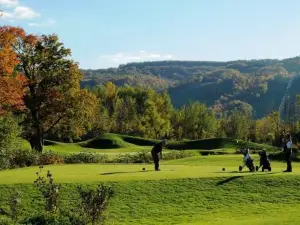 Great Location, Pool, Blue Mountain 2 Bdrm Dream