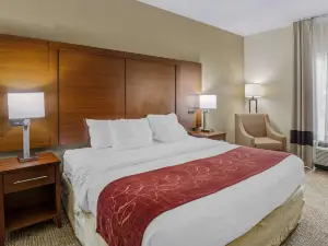 Comfort Suites at Virginia Center Commons