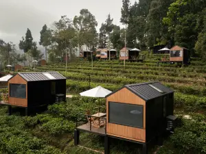 Bobocabin Dieng Wonosobo