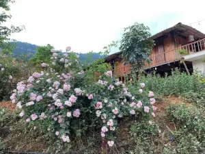 Truong Nhan Tram Tau Homestay
