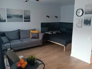 Alyvų Tako Studija
