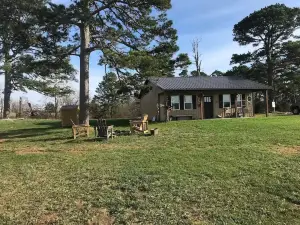 The HOLD-Up Hide Away Pet Friendly