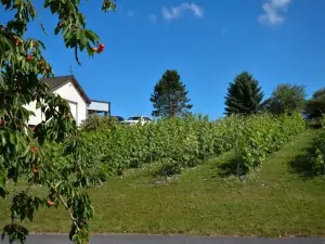 Le Clos du Moulin