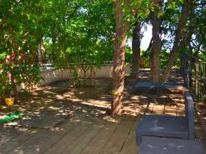 Chambres d'Hôtes Maison de la Vigne