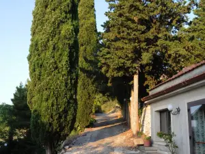 อัลแบร์โก วิลล่า โนบีล