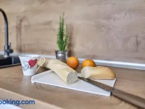 Cozy Apartment with Balcony on the Black Sea- Part of the Family 'Vicki Apart