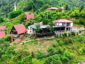 Gafulluk TATIL KOYU
