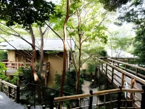 伊東高原城崎溫泉花吹雪