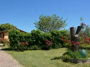 Podere la Damesca - Agriturismo "La Fraschetta"