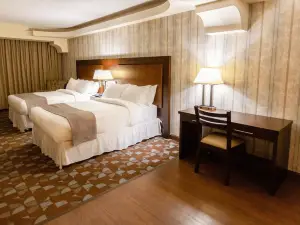 Hotel Plaza San Martin