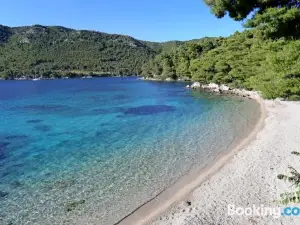 Apartments by the Sea Zuljana, Peljesac - 10233