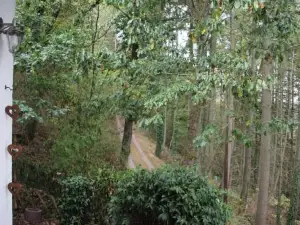 The Vianden Cottage - Charming Cottage in the Forest