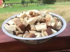 Klimatyczny Drewniany Domek w górach