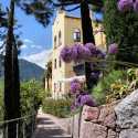 Flora Hotel & Suites Promo Code