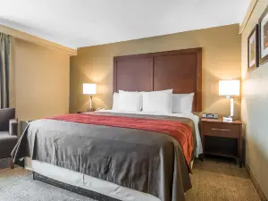 Comfort Inn Denver Central