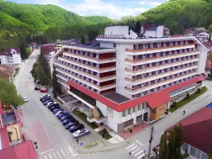 Hotel Olanesti & Spa Medical
