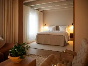 Hotel Vyn