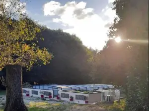 Dôme S'féérique Avec accès Piscine