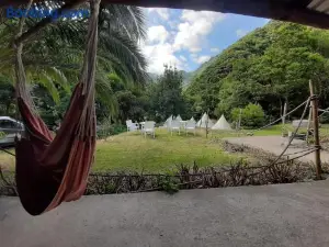 Nature Retreat - Laurel Forest