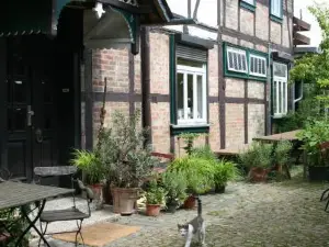 Apartments Café Brennnessel