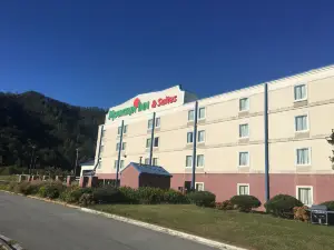Mountain Inn & Suites