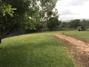 The Nubian in the Mara