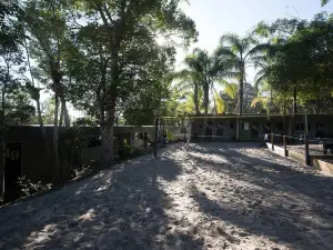 Nomads Noosa Youth Resort