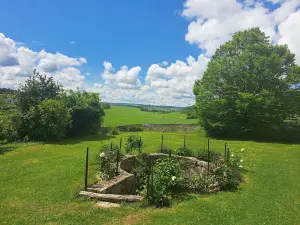 Le domaine aux herbes folles