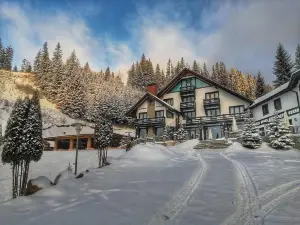 Pensiunea Poiana Izvoarelor