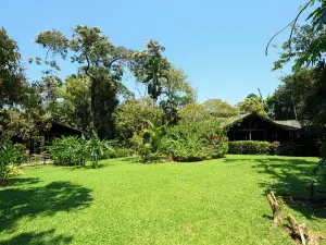 The Lodge at Pico Bonito