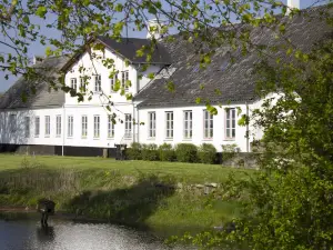 Rønhave