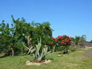 Podere Fausto -Agriturismo La Fraschetta
