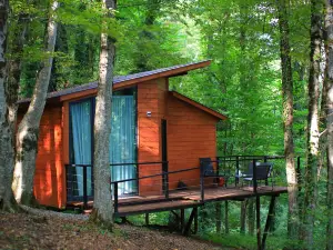 Eco village in the forest