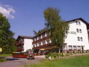 Hotel Igel Gbr
