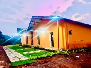 Rainforest Farm