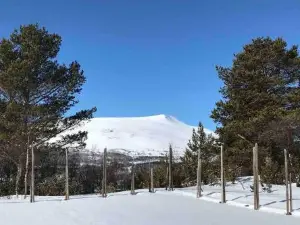 Fjellro Mountain Cabin