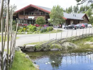 Hytter Dombås